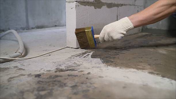 24/7 Emergency Crawl Space Encapsulation experts in Cedar Lake, IN